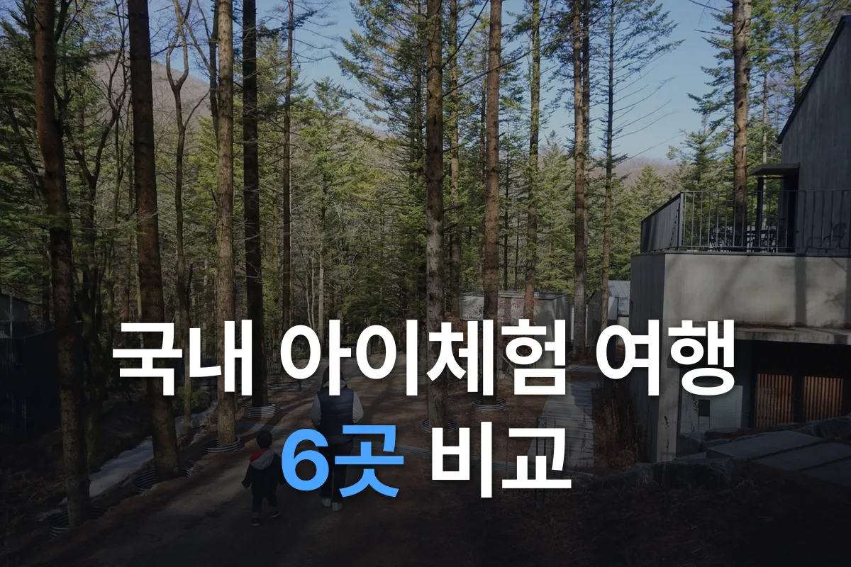 아이와 가볼만한 곳 국내 6곳 비교: 나이별·계절별 체험 여행지 고르는 법