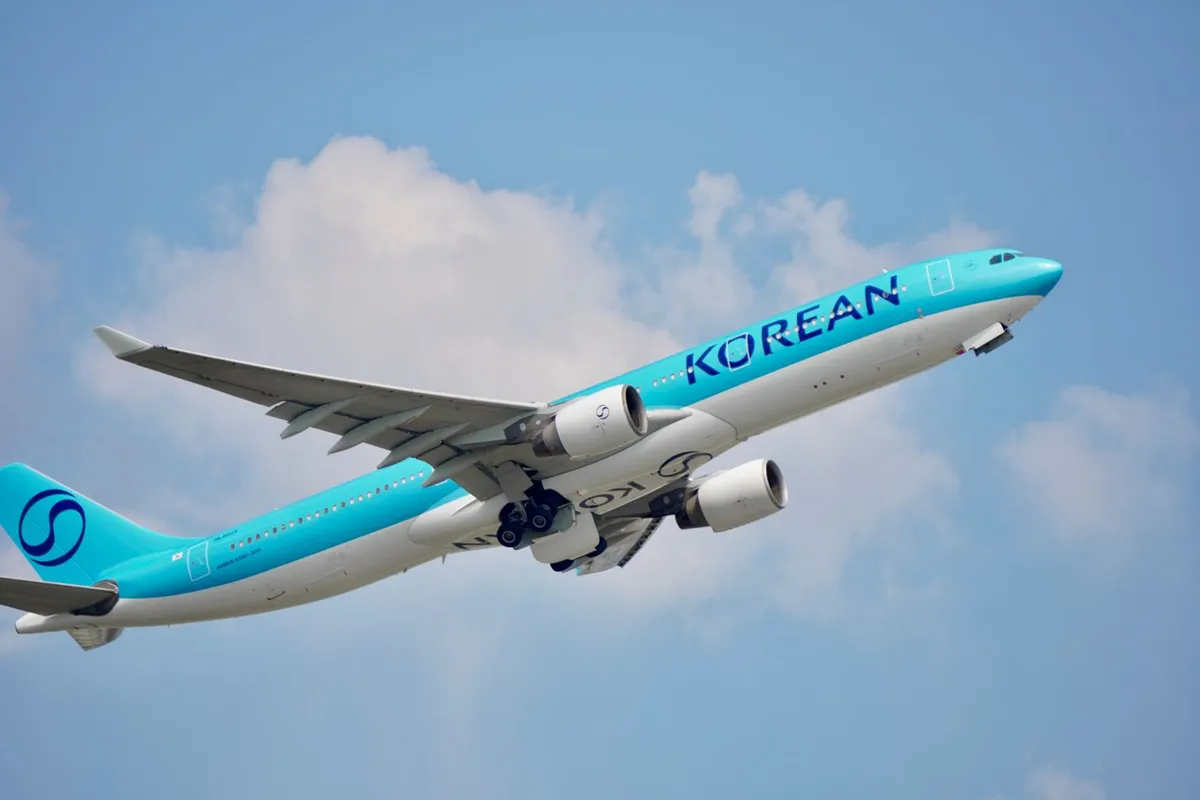 비행기: 24개월 미만 유아와 소아 운임