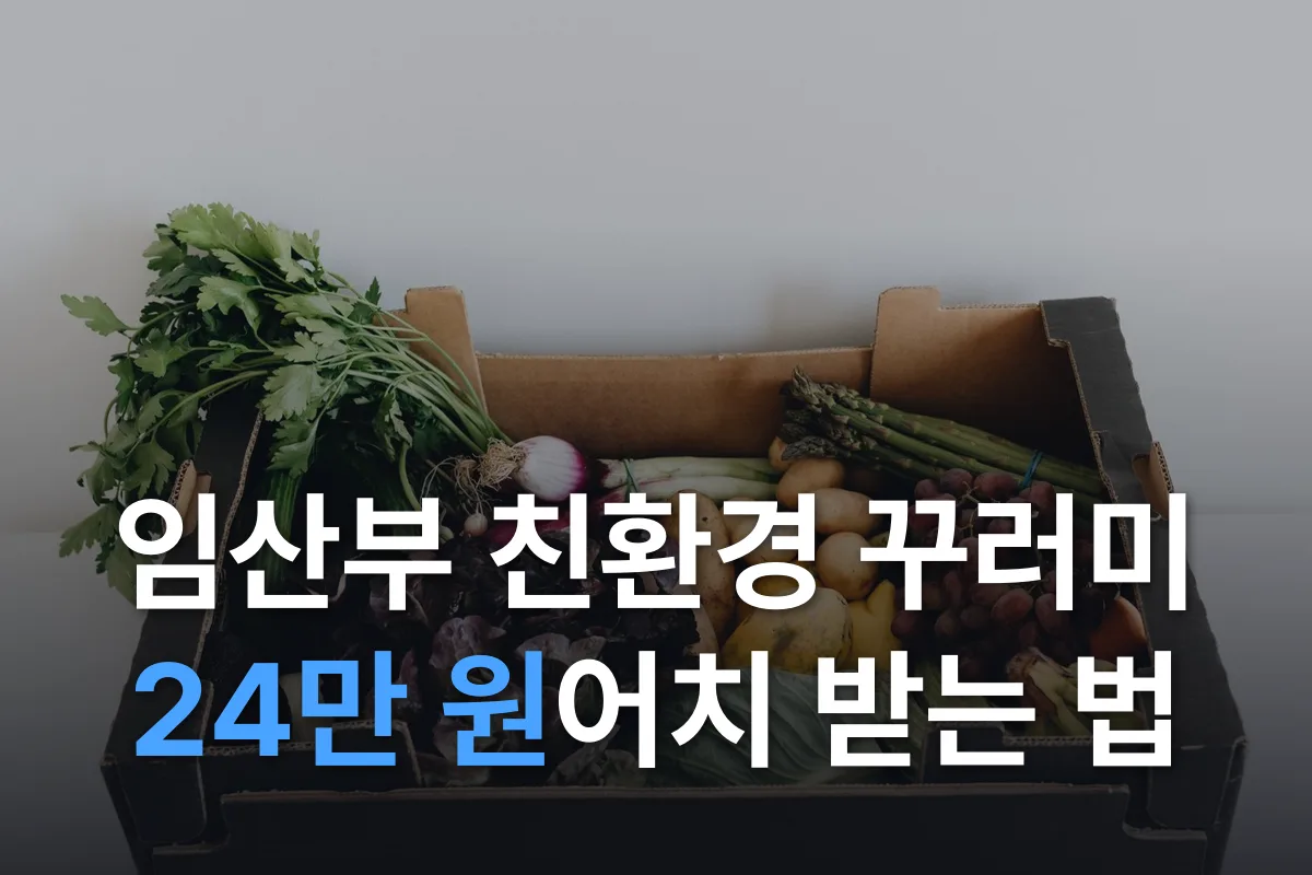 임산부 친환경농산물 꾸러미, 4만 8천 원 내고 24만 원어치 받는 법