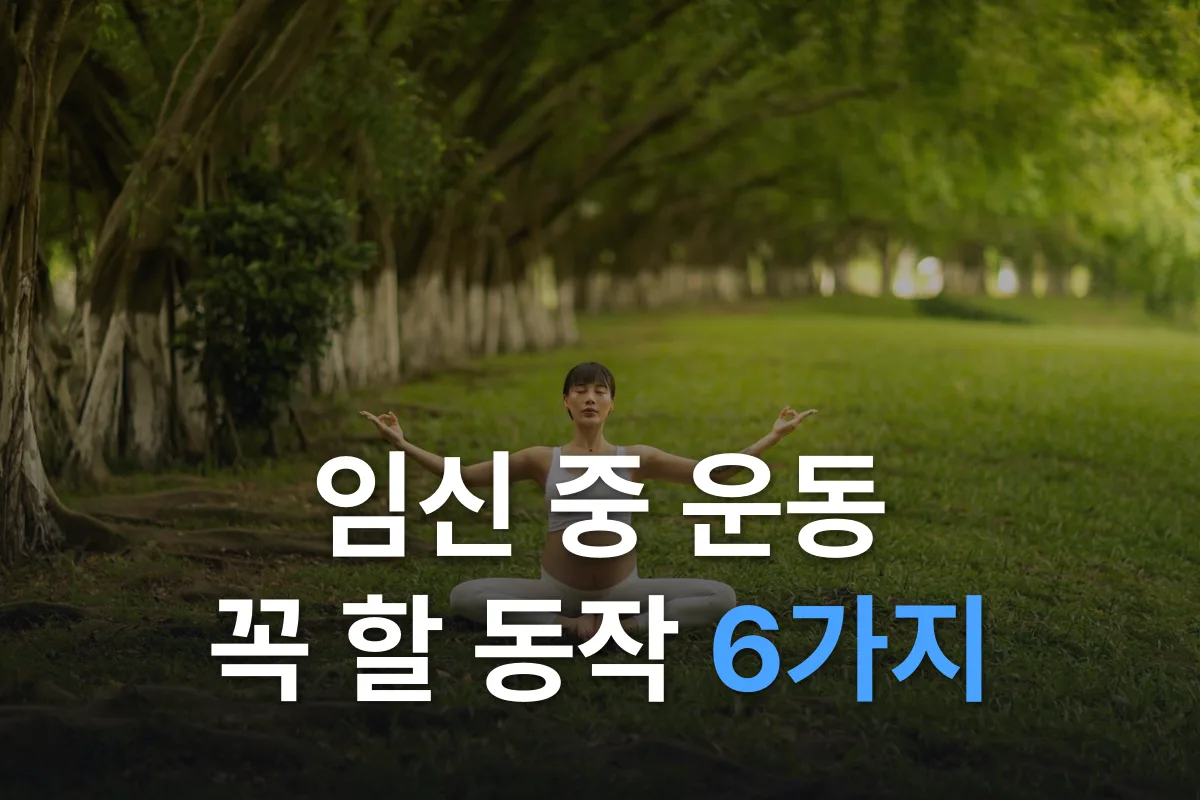 임산부 운동: 꼭 해야 할 동작 6가지와 안전 수칙 (요가·스트레칭 사진으로 따라 하기)