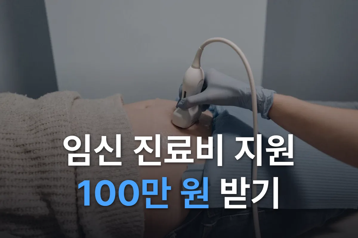 임신·출산 진료비 지원 100만 원: 국민행복카드 신청부터 사용처까지